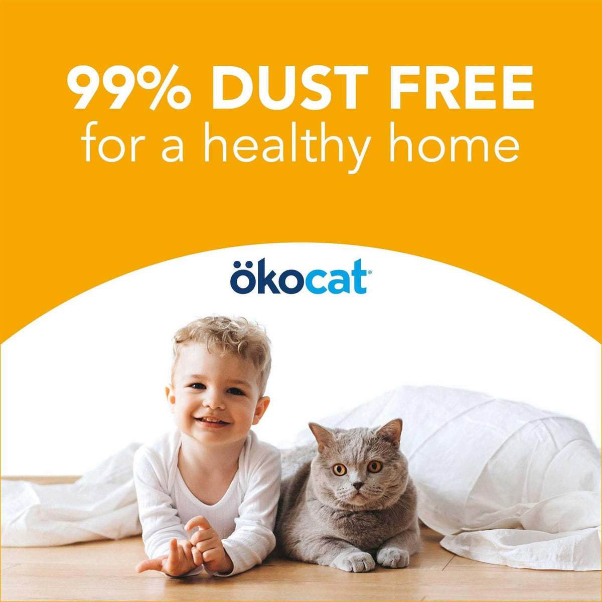 Unscented Clumping Wood Cat Litter T46398