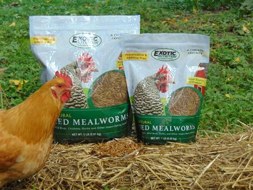 Dried Mealworms 22 lb I1070