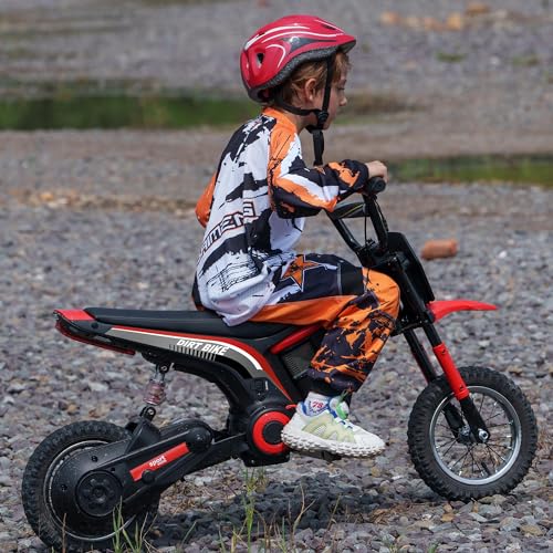 Electric Dirt Bike 24V 350W Off-Road Motorcycle Red J4961