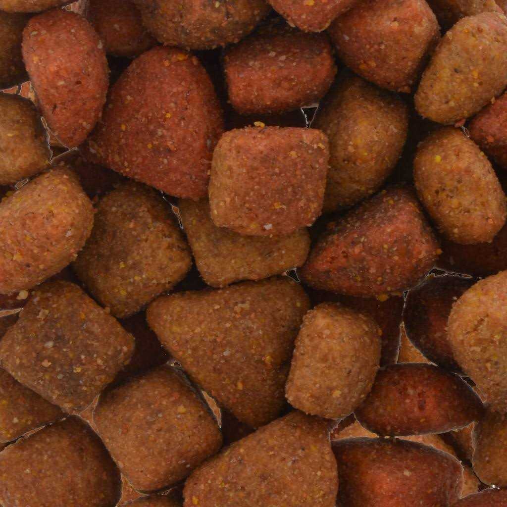 Beef Dog Food D47883