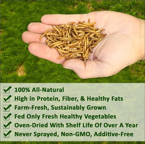 Dried Mealworms 22 lb I1070
