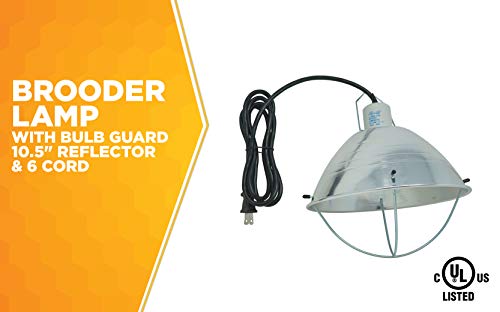 10.5 Inch Reflector Brooder Lamp with Bulb Guard and 6 Foot Cord Q242