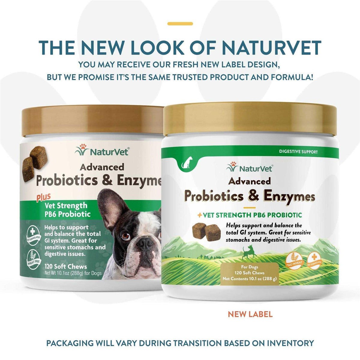 Probiotics & Enzymes Soft Chews C9941