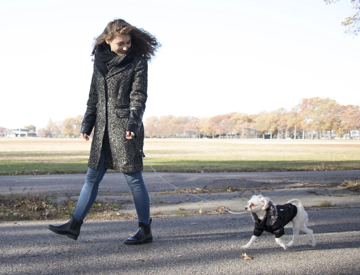 3M Insulated Dog Coat Parka with Removable Hood K2637