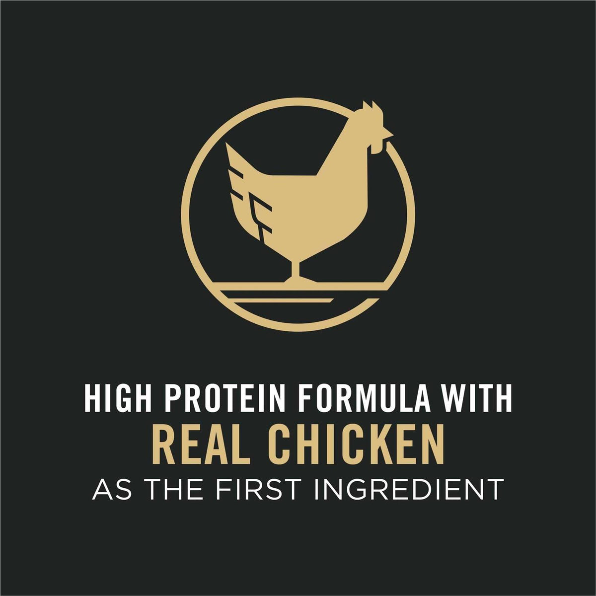 Chicken & Rice Dry Dog Food B578940