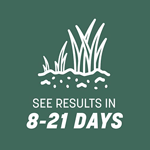 40 lbs Tall Fescue Grass Seed D2451