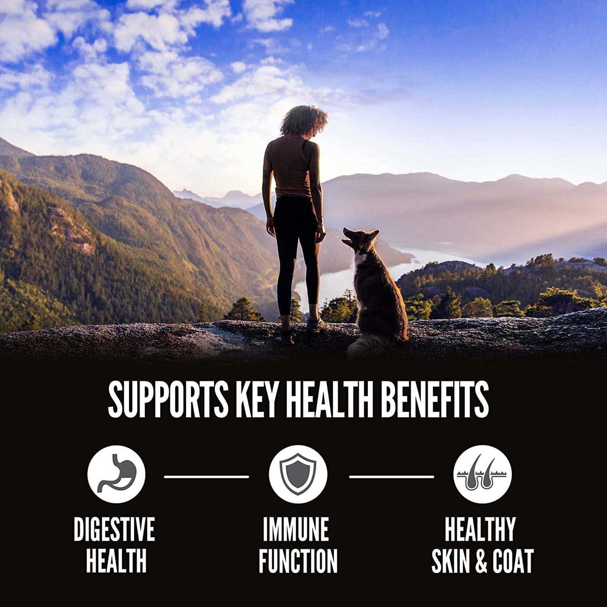 Dry Dog Food L782050