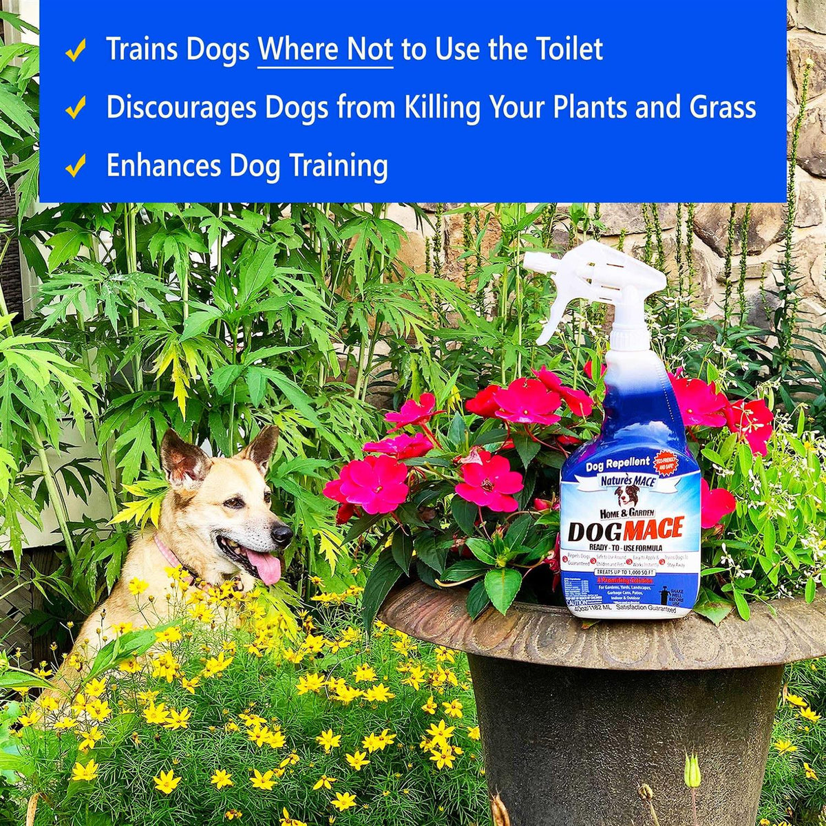 Dog Repellent D942