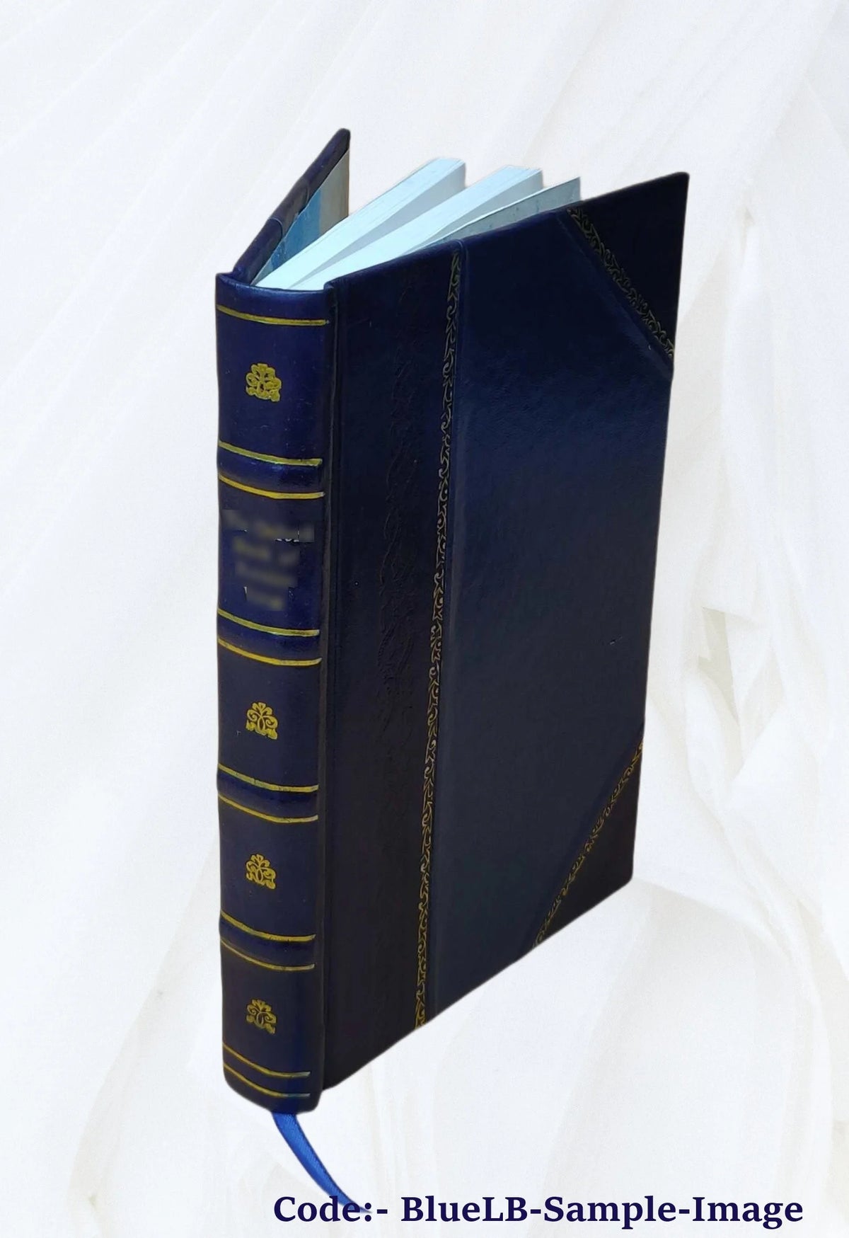 Sea-fish: an account of the methods of angling as practised on the English coast U854461