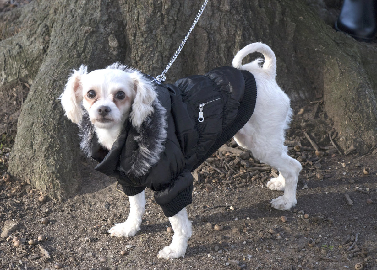 3M Insulated Dog Coat Parka with Removable Hood K2637