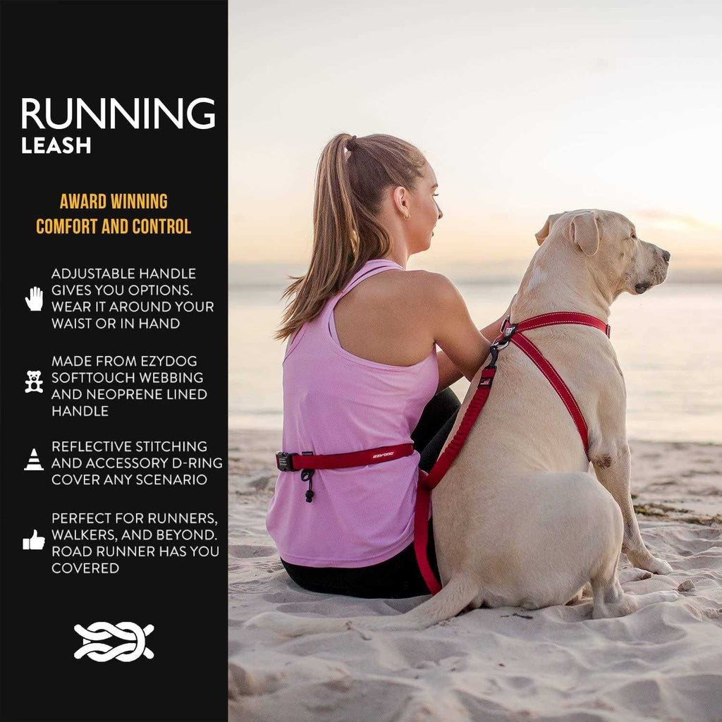 Road Runner Leash L85370