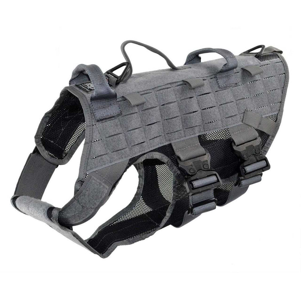 Harness T586494