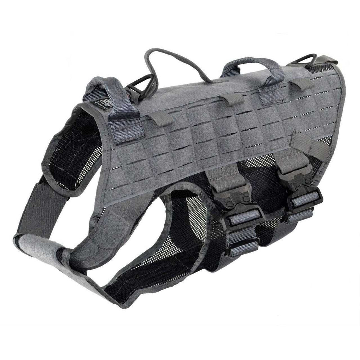 Harness T586494