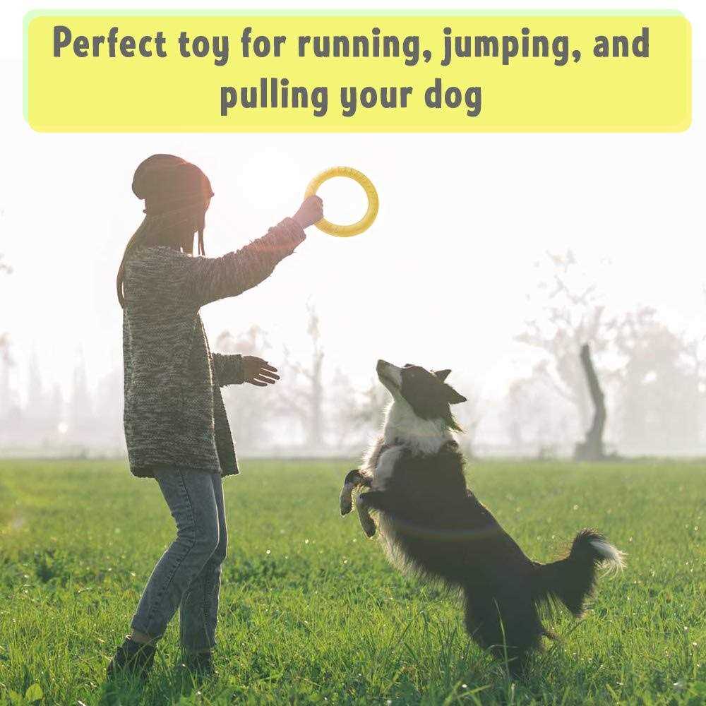 Dog Training Ring and Flying Disc Dog Toy Z56643
