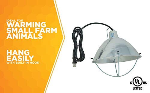 10.5 Inch Reflector Brooder Lamp with Bulb Guard and 6 Foot Cord Q242