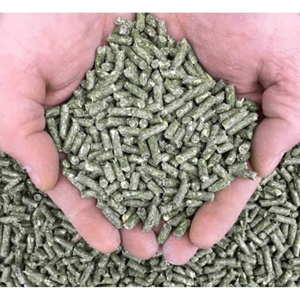 Rabbit Pellets X164