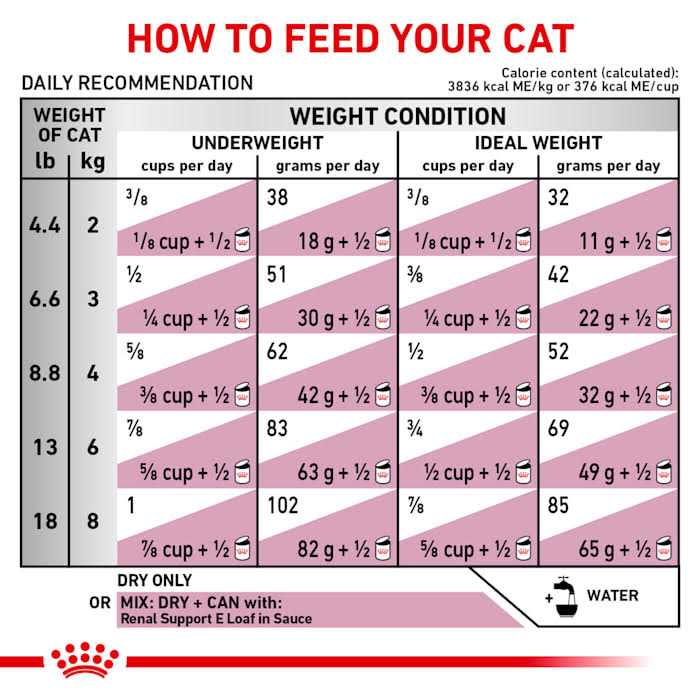 Dry Food A9907