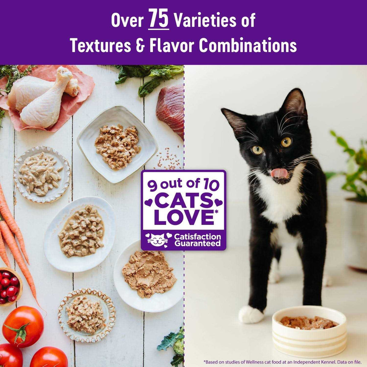 Grain Free Wet Cat Food E241