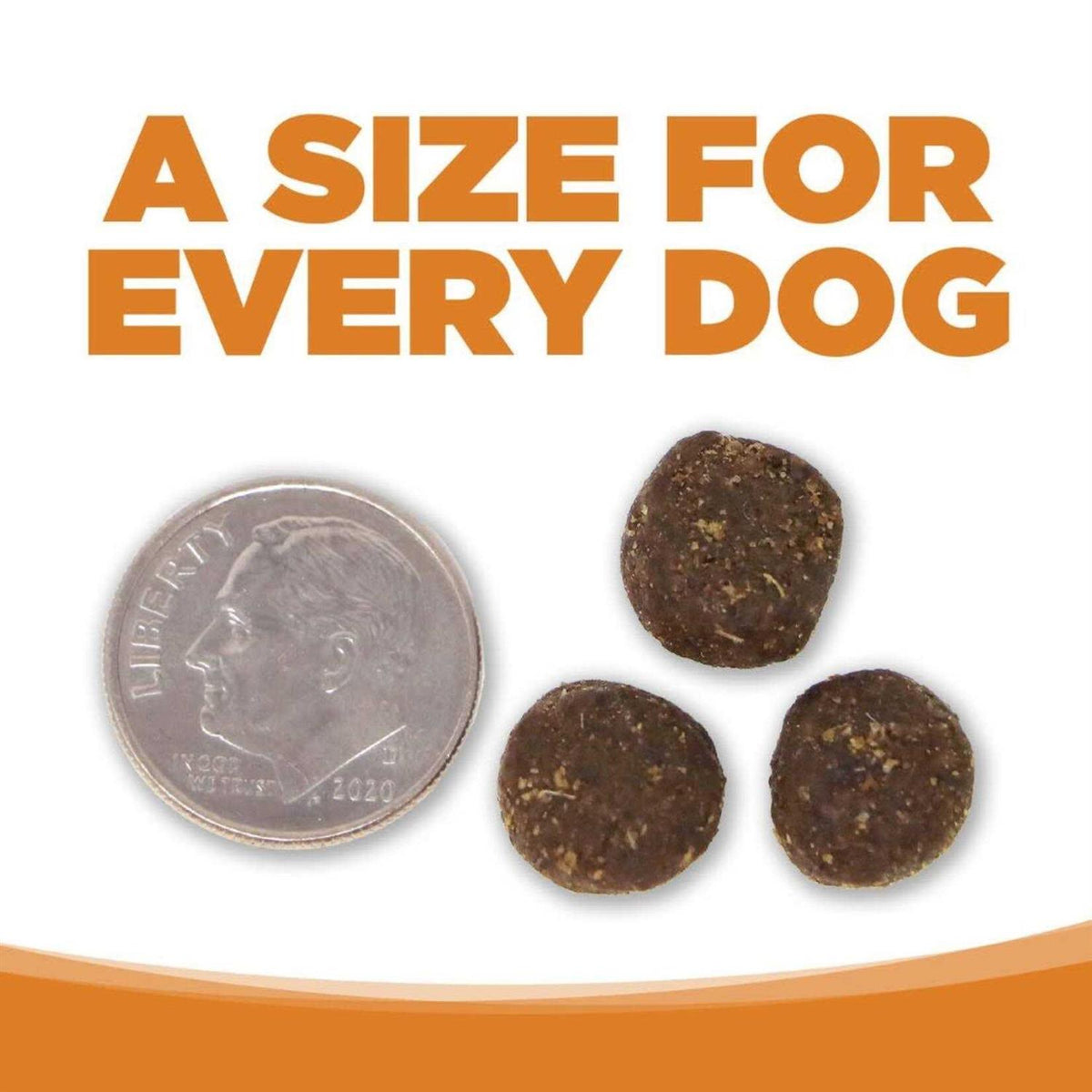 Lamb Rice Dry Dog Food B8566