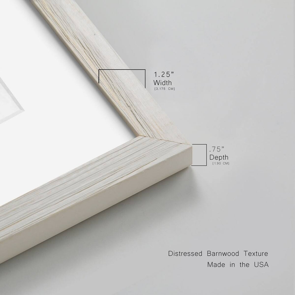 Framed Canvas Z834