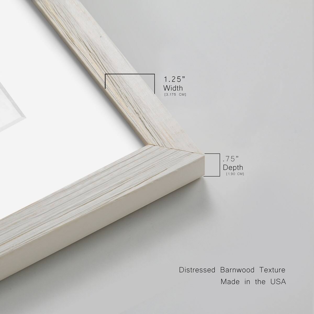 Framed Canvas Z834
