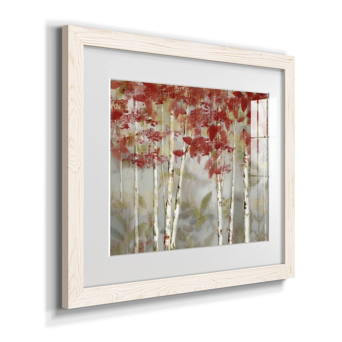 Framed Canvas Z834