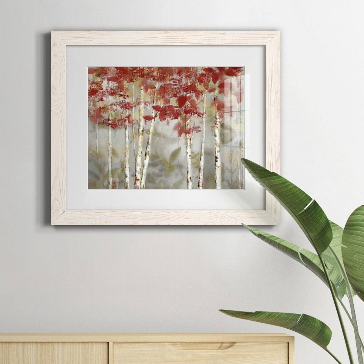 Framed Canvas Z834