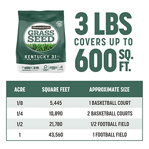 40 lbs Tall Fescue Grass Seed D2451