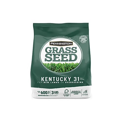 40 lbs Tall Fescue Grass Seed D2451