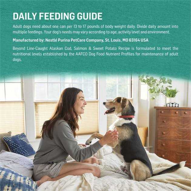 Grain-Free Canned Dog Food W51902