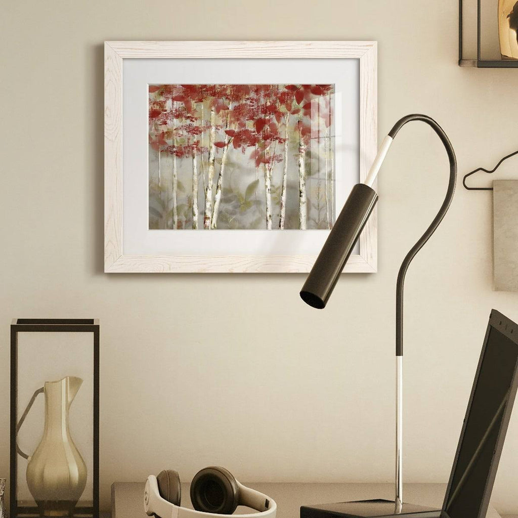 Framed Canvas Z834