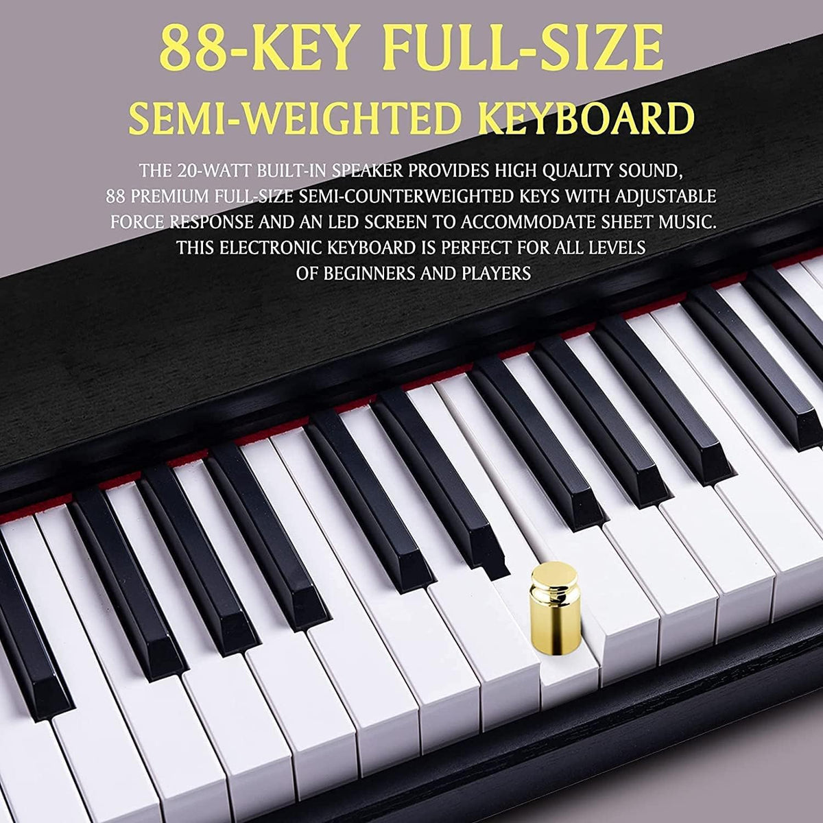 88 Key Full Size Weighted Digital Piano Keyboard with Pedal X44480