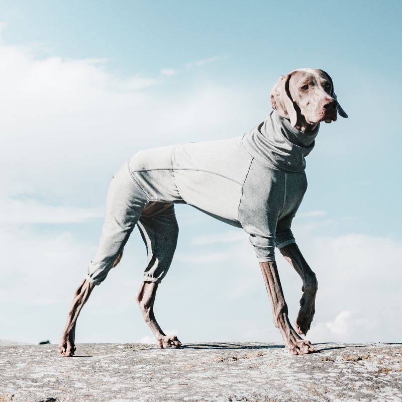 Carbon Grey Dog Body Warmer L171
