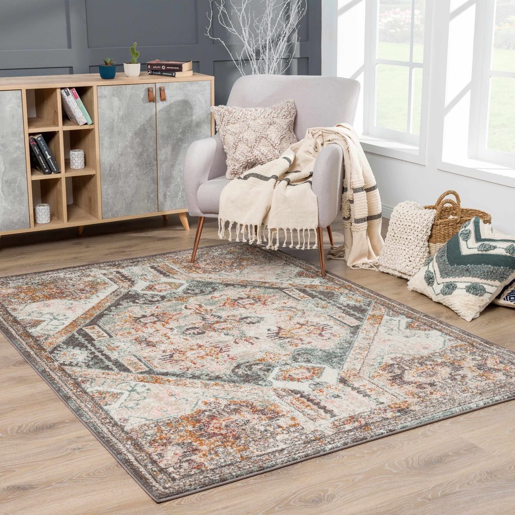 Gray Brown Red Area Rug C530253