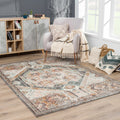 Gray Brown Red Area Rug C530253