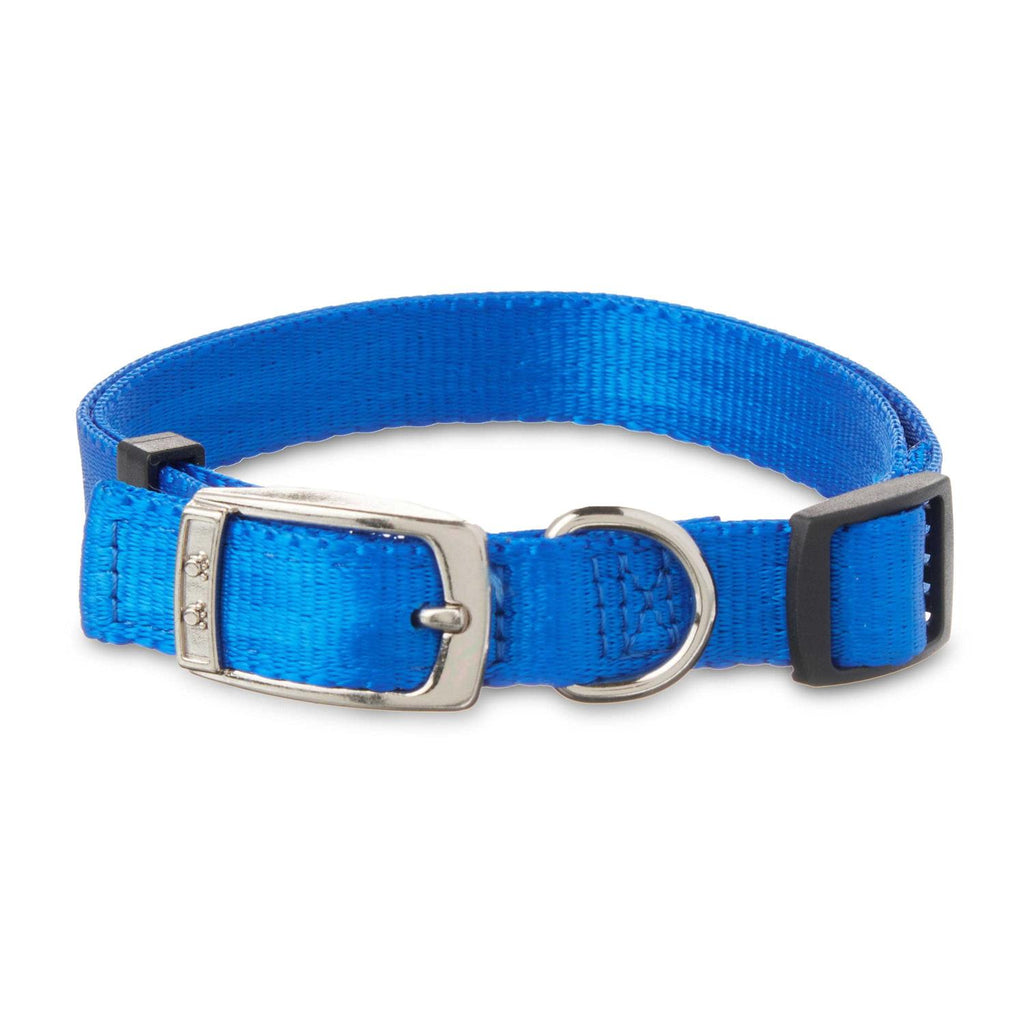 Solid Dog Collar with Metal Buckle K7820