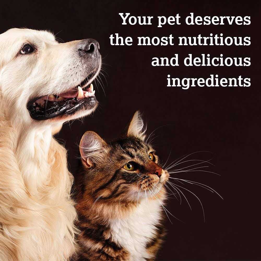 Baked Dog Treats O7884