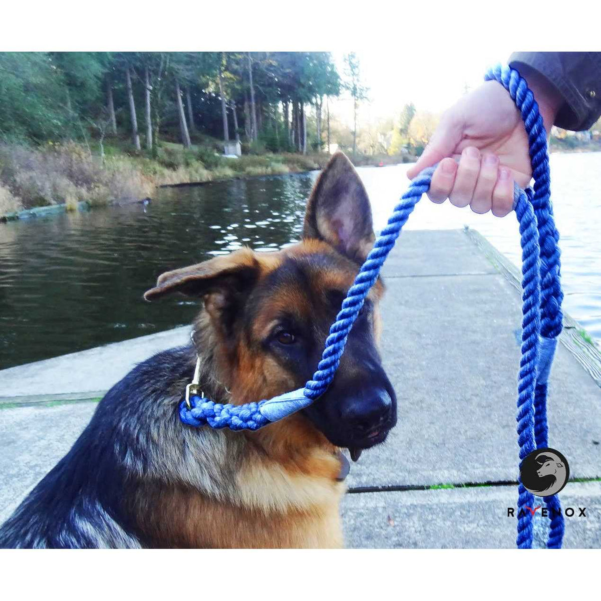Cotton Rope Leash Lead 12-inch C1391