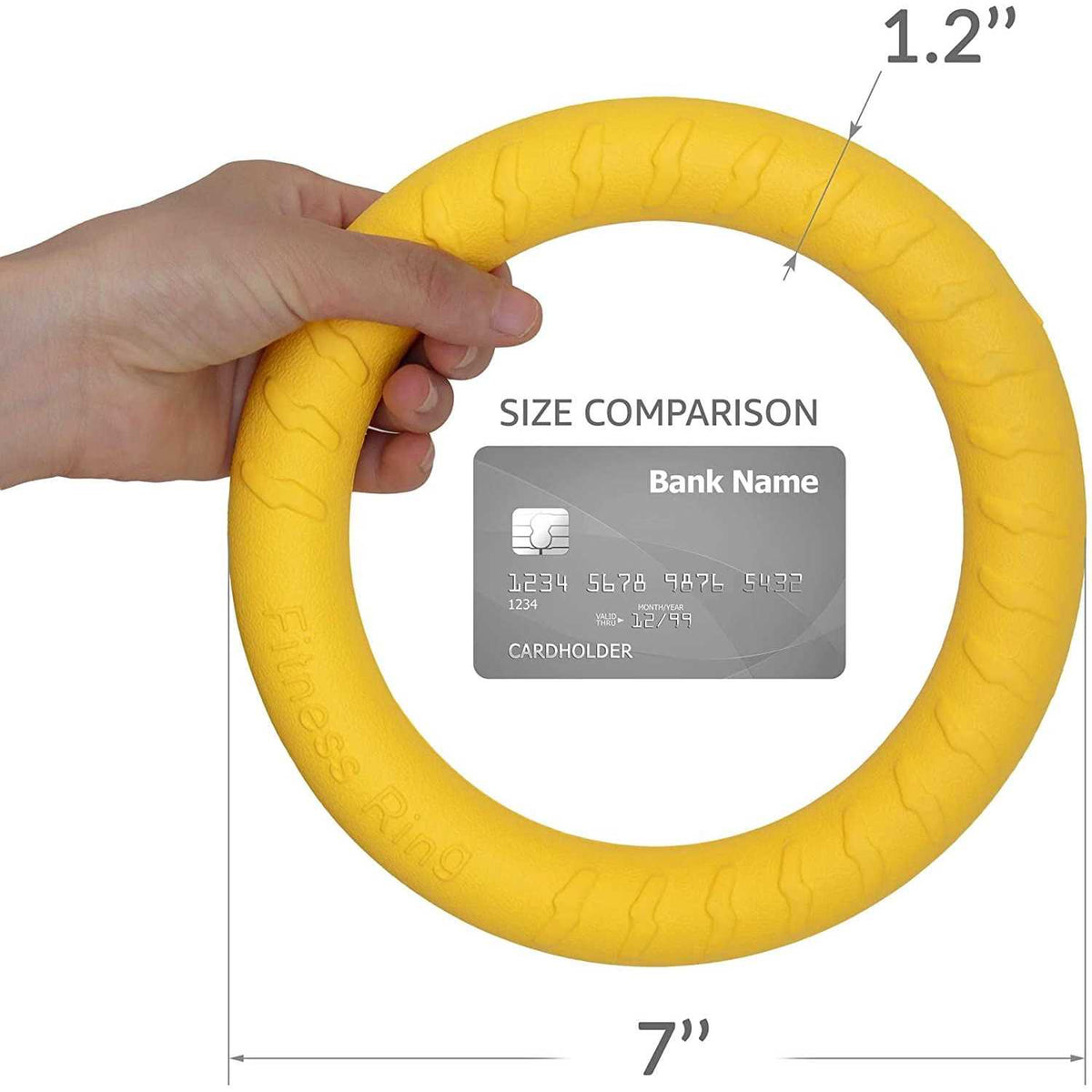 Dog Training Ring and Flying Disc Dog Toy Z56643