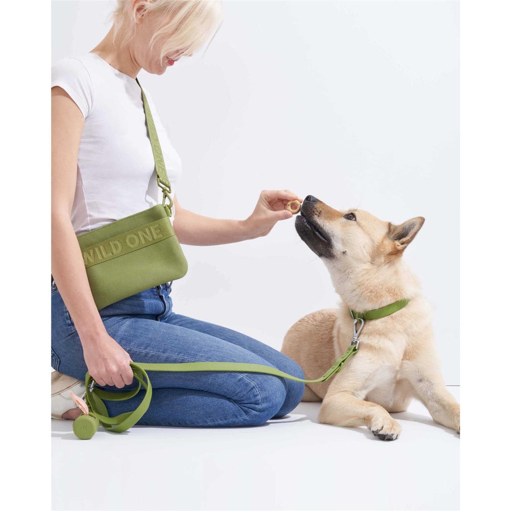 Dog Leash D8458