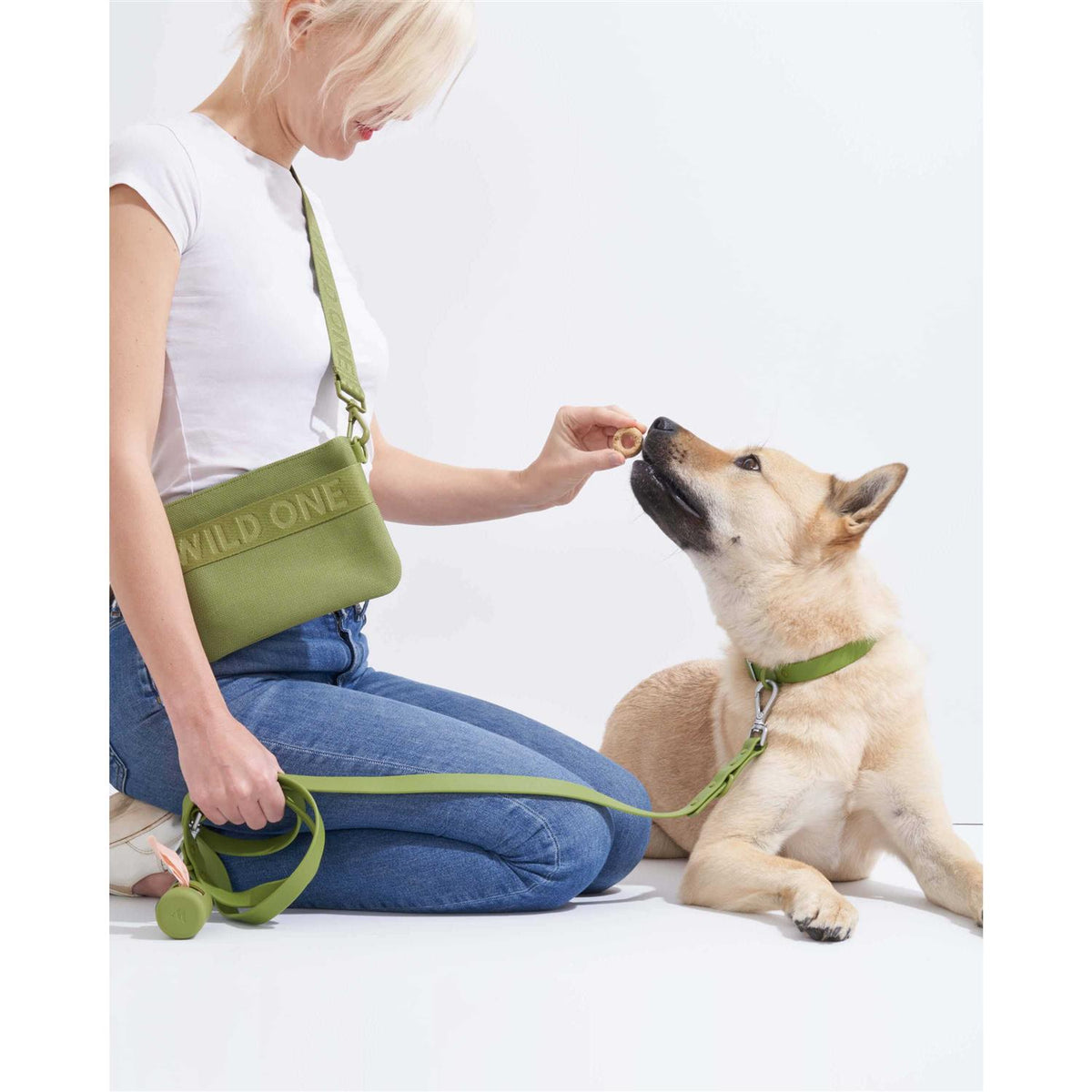 Dog Leash D8458
