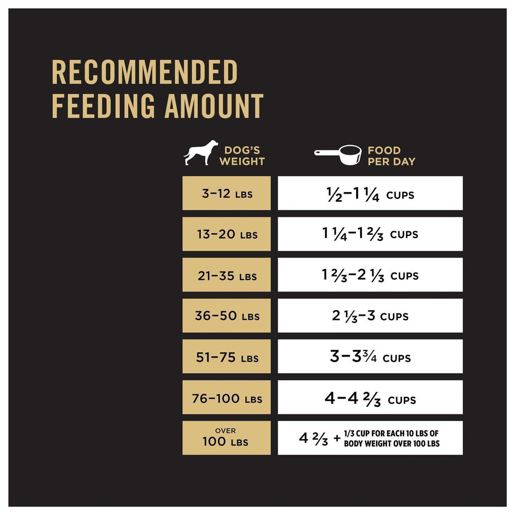 Chicken & Rice Dry Dog Food B578940