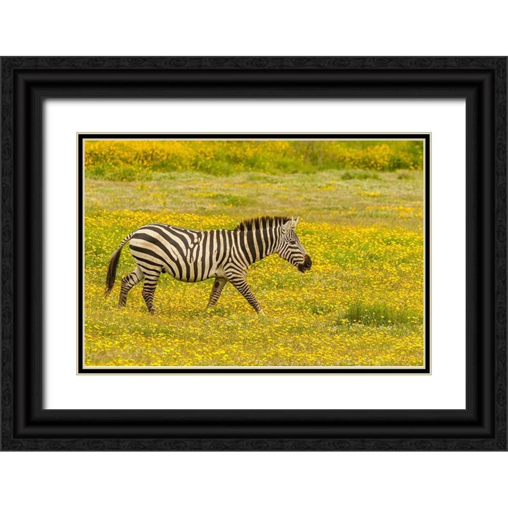 Black Ornate Wood Framed Art Print O39658