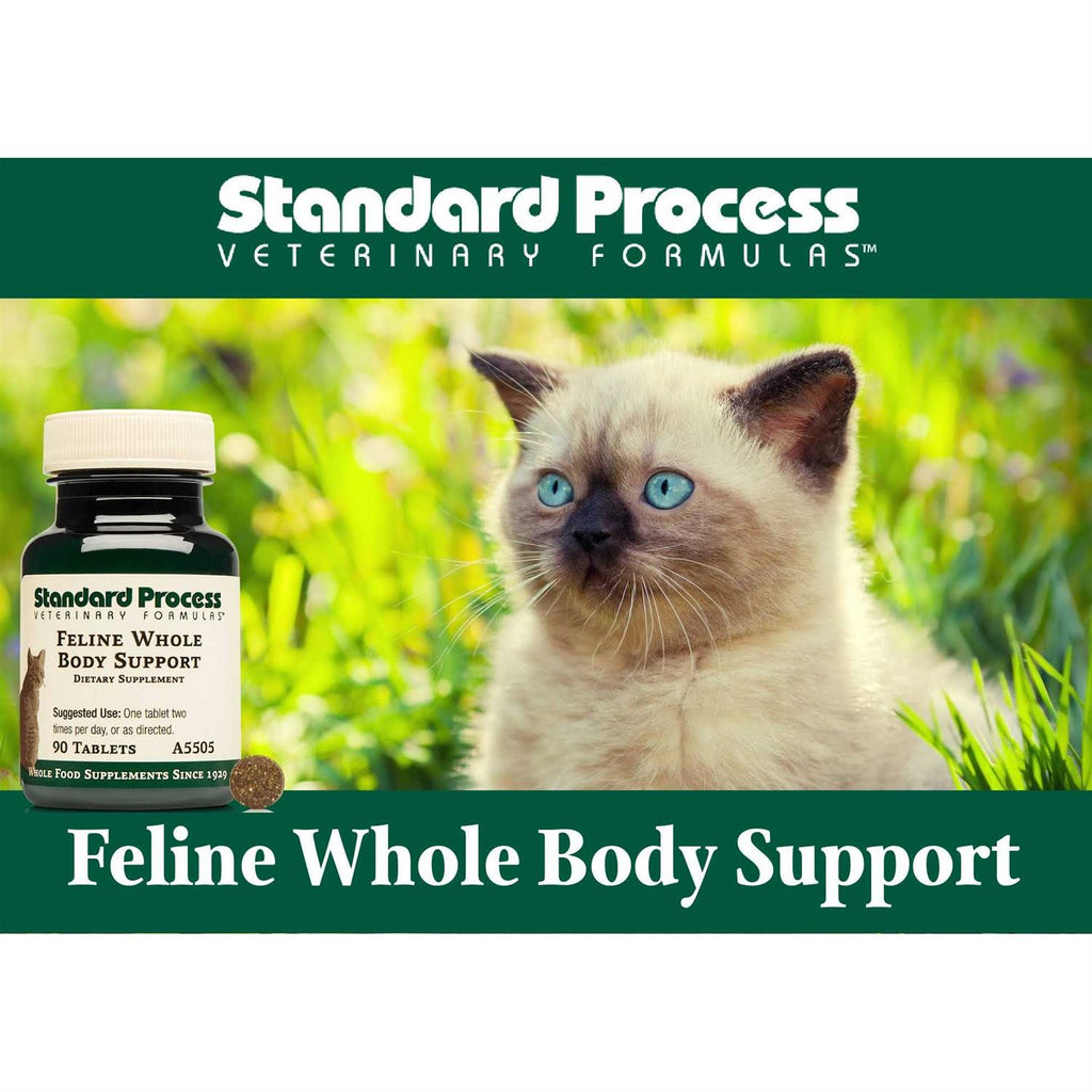 Whole Body Support R743776
