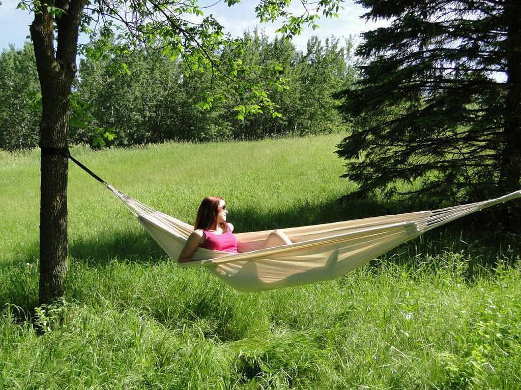 Double Hammock B92940