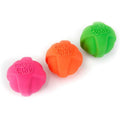 Squeaky Latex Dog Toy J6994