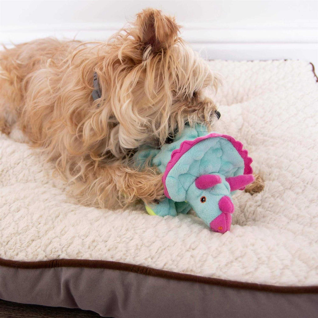 Dog Toy C3176