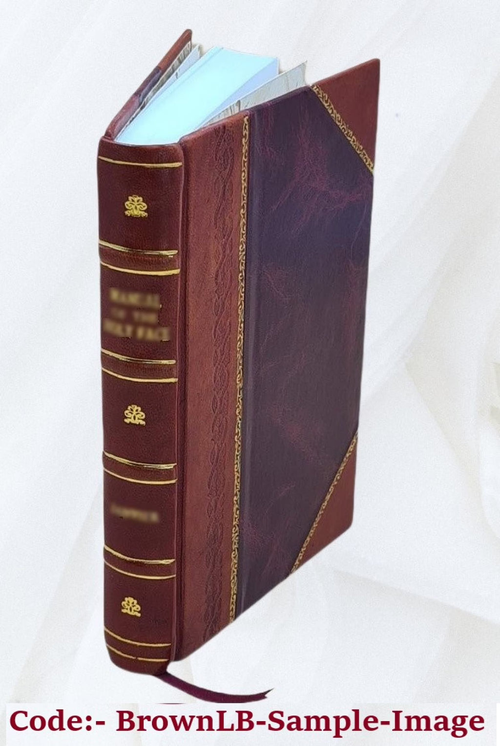 Sea-fish: an account of the methods of angling as practised on the English coast U854461