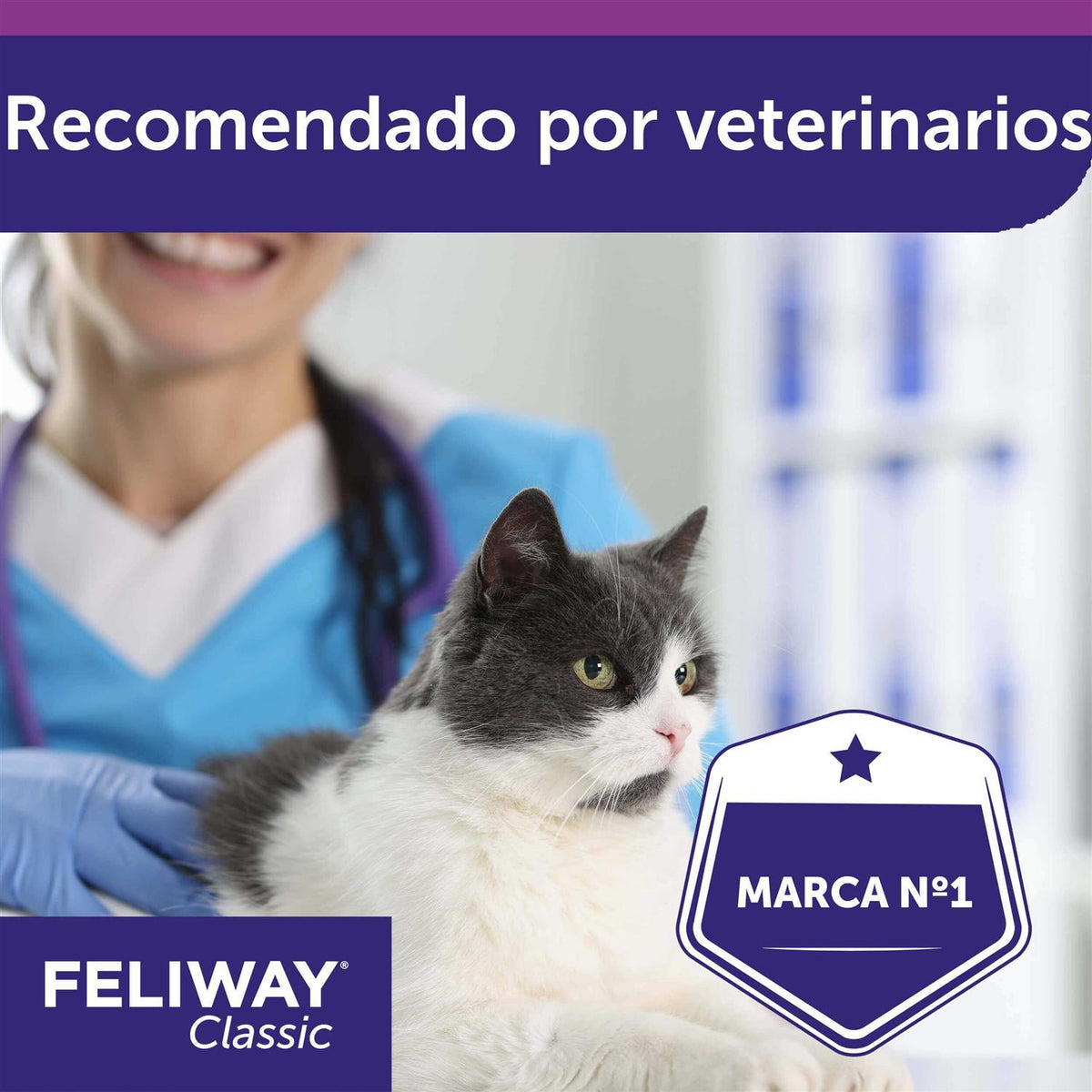 48ml Pet Refill N72598