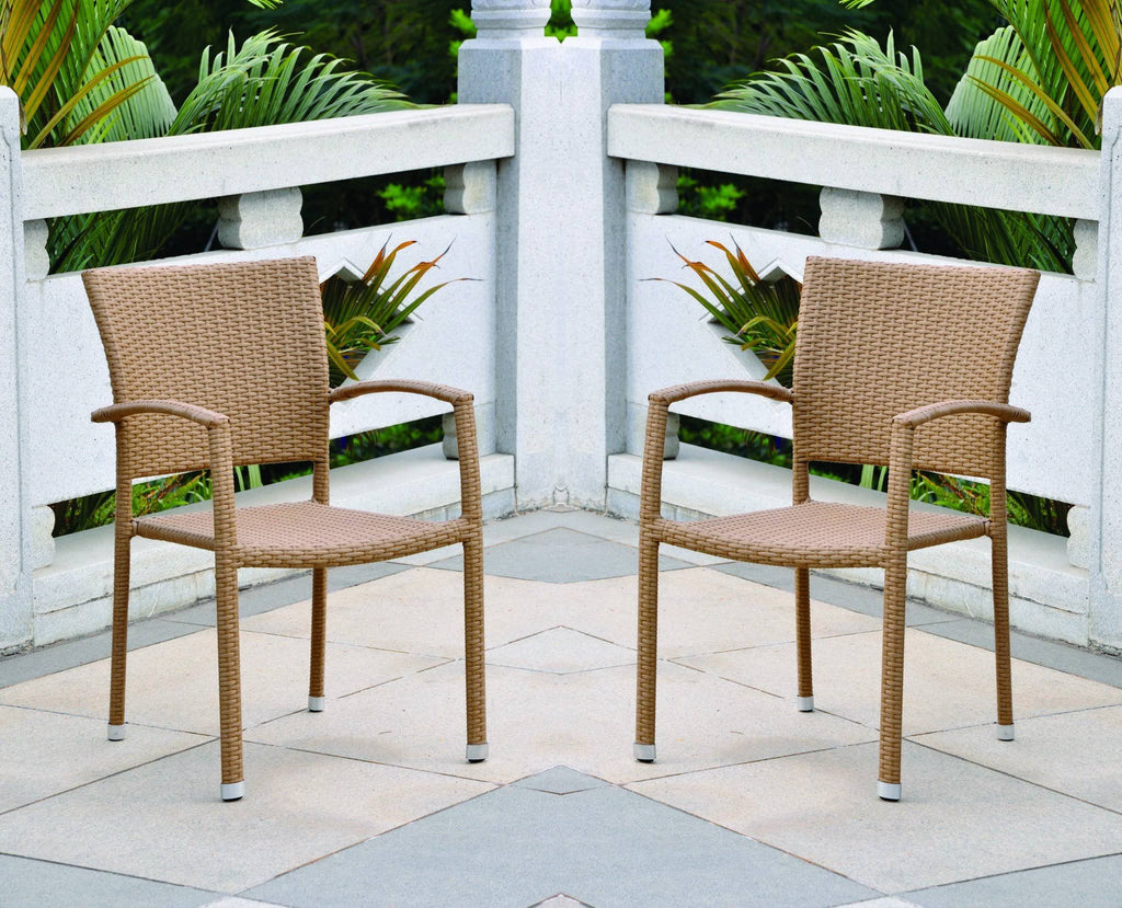 Resin Wicker/Aluminum Patio Dining Chair (Set of 2) O410